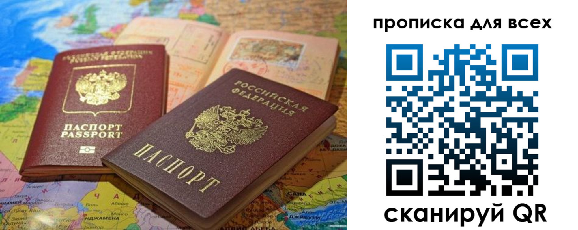 прописка гарантия в Ржеве